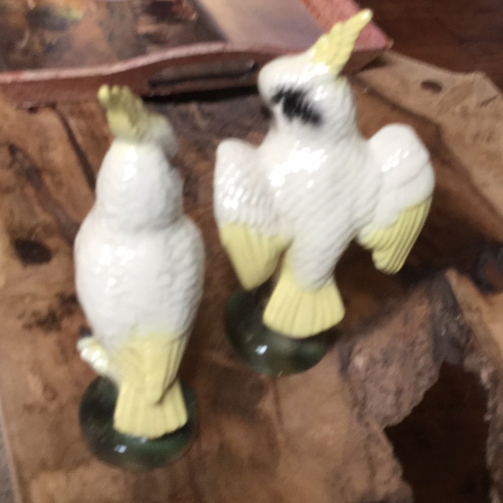 Vintage decor birds farmer’s market garden sunroom spa botanical shabby chic - Picture 7 of 14